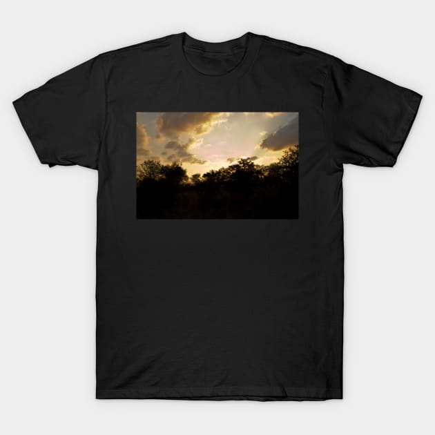 African Sunset #2 T-Shirt by johnwebbstock